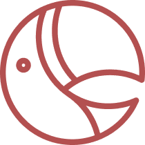 App Icon: Parrotxt